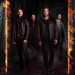 Meet your Posher, Johnnie